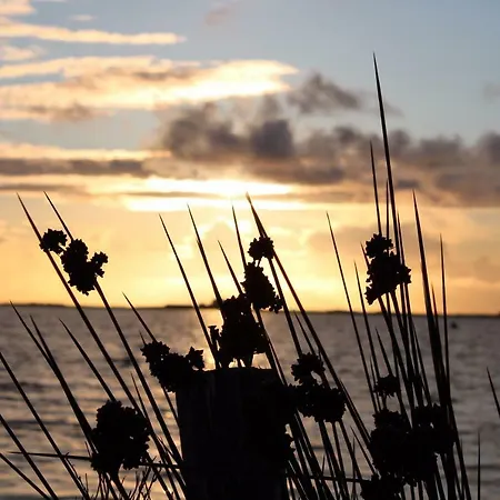 Canottieri Διαμέρισμα